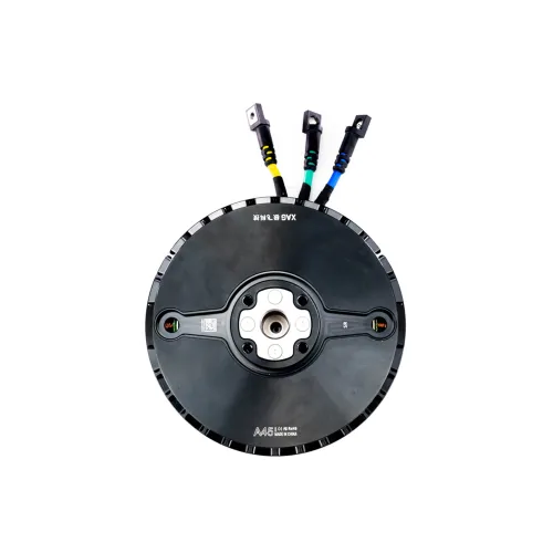 P100P Motor (02-005-00419) P100P Motor (02-005-00419)
