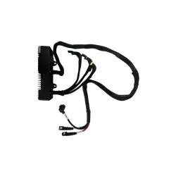 ESC (05-002-01767) ESC (05-002-01767)