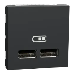 Розетка USB подв. 2.1А 2 модуля антр Розетка USB подв. 2.1А 2 модуля антр