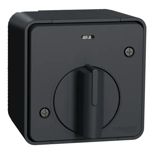 ВИМИКАЧ з таймером З/М, ЧОР, IP55 ВИМИКАЧ з таймером З/М, ЧОР, IP55